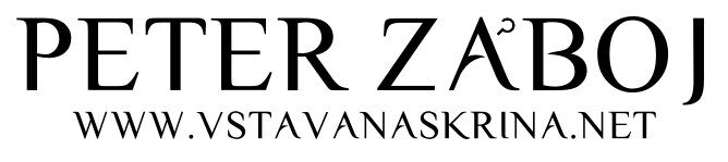 logo pz